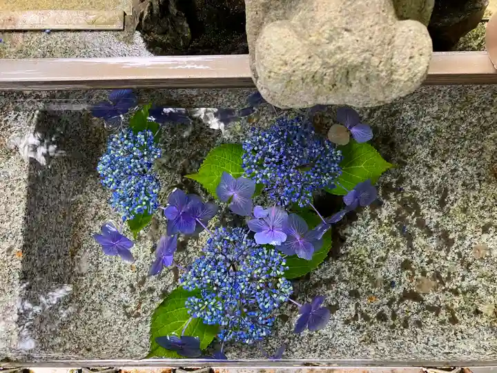 伏見稲荷大社 御膳谷奉拝所の手水舎