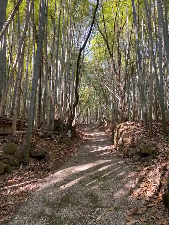 吉備津岡辛木神社(岡山県)