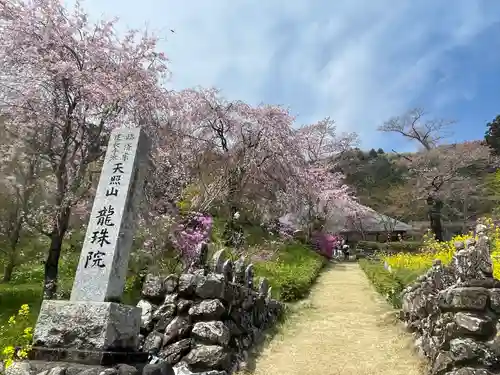 龍珠院(東京都)