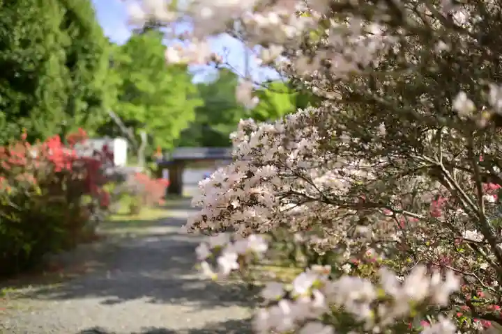 正福寺(茨城県)