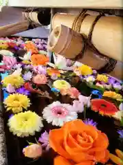 鳩森八幡神社(東京都)