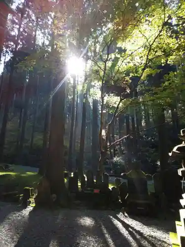 御岩神社の景色