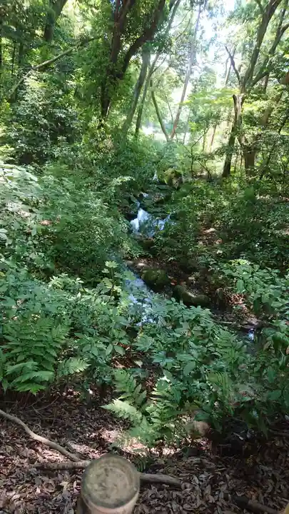 明治神宮の自然