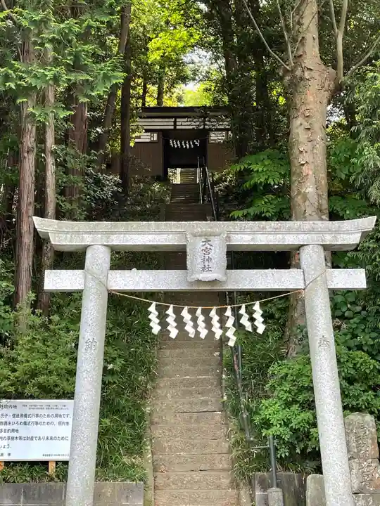 大宮神社の鳥居