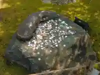 勝林寺(京都府)