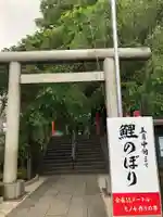田無神社の鳥居
