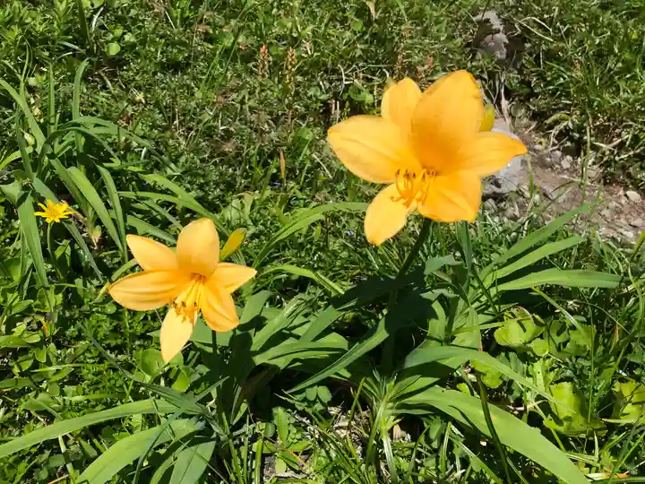 月山神社本宮の自然