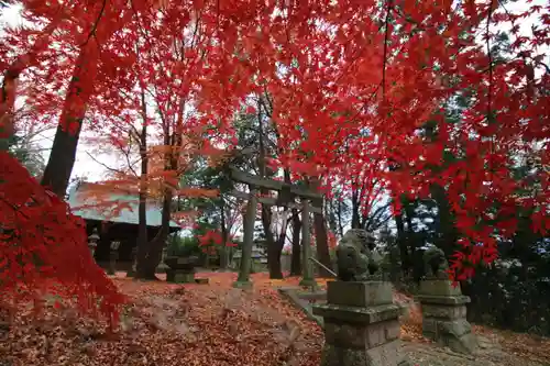 國祖神社の鳥居