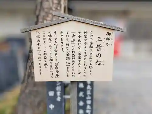 別小江神社のその他建物