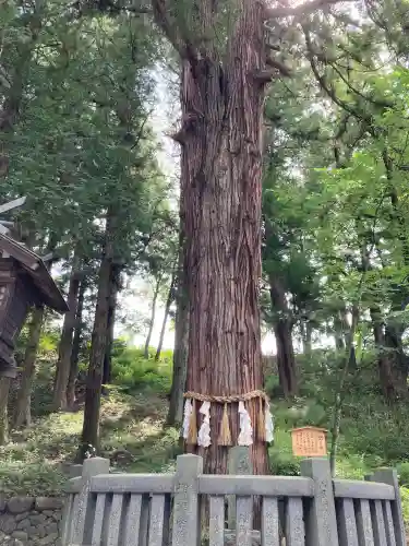 諏訪大社下社春宮(長野県)