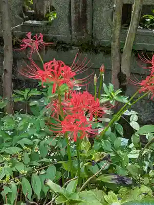 西雲院(京都府)