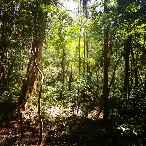 鹿島神宮の自然