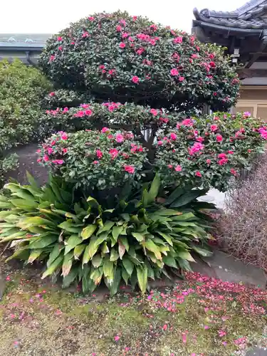 星谷寺(神奈川県)
