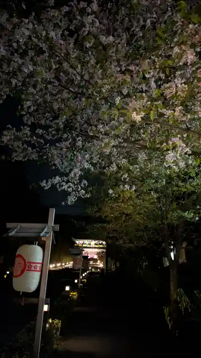 知恩院(京都府)