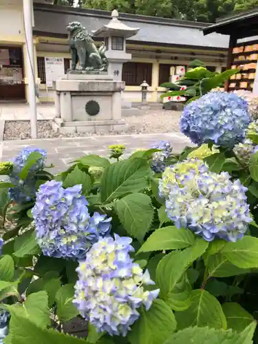 愛知縣護國神社の狛犬