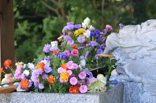 滑川神社 - 仕事と子どもの守り神の手水