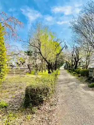 教王寺(群馬県)