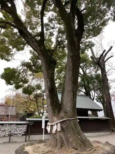 玉村八幡宮の庭園