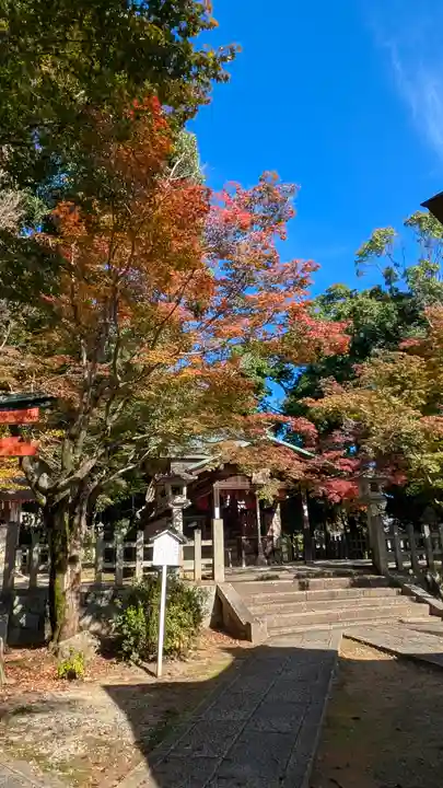 竹中稲荷神社(吉田神社末社)(京都府)