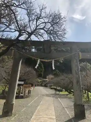 菅原神社(鹿児島県)