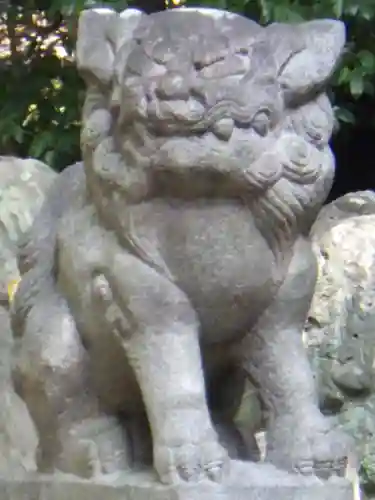 白山神社（二子町）の狛犬