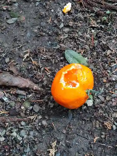 諏訪神社のその他建物