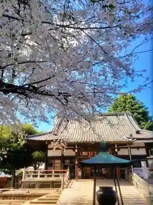 新井薬師（梅照院）(東京都)