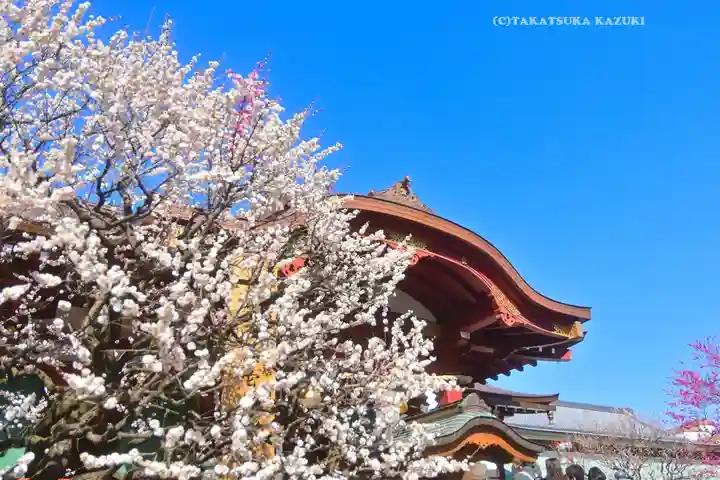 亀戸天神社(東京都)