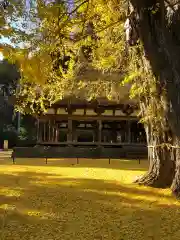 新宮熊野神社の本殿