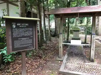 熊野三所大神社（浜の宮王子）(和歌山県)