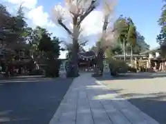 亀ケ池八幡宮の建物その他