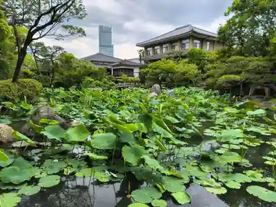 四天王寺(大阪府)