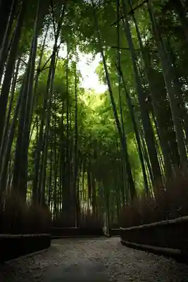 報国寺(神奈川県)