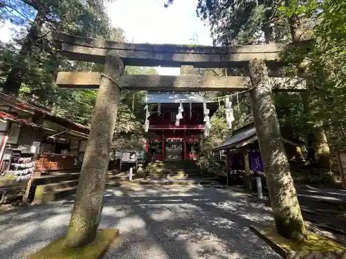 花園神社(茨城県)