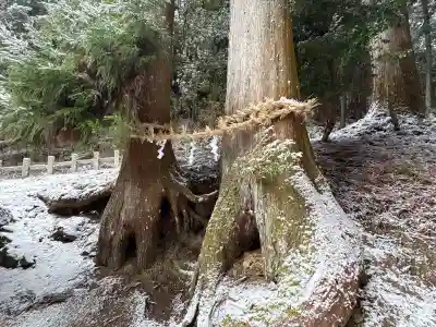 天一神社の{uncategorized: "未分類", other: "その他", undefined: "問題あり", building: "その他建物", grave: "お墓", sacred_gate: "鳥居", guardian: "狛犬", statue: "像", buddha: "仏像", history: "歴史", nature: "自然", garden: "庭園", animal: "動物", pagoda: "塔", temizu: "手水舎", mountain_gate: "山門・神門", sanctuary: "本殿・本堂", subordinate: "末社・摂社", art: "芸術", scenery: "景色", jizo: "地蔵", ema: "絵馬", goshuin: "御朱印", omikuji: "おみくじ", items: "授与品その他", amulet: "お守り", goshuincho: "御朱印帳", eats: "食事", festival: "お祭り", votive_dance: "神楽", shichigosan: "七五三参", wedding: "結婚式", experience: "体験その他", initially: "初詣", around: "周辺", anti_infection: "感染症対策"}
