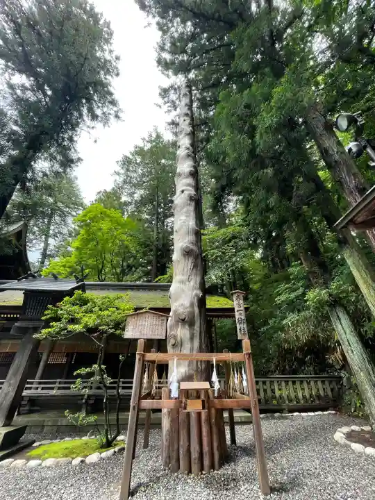 諏訪大社下社春宮(長野県)