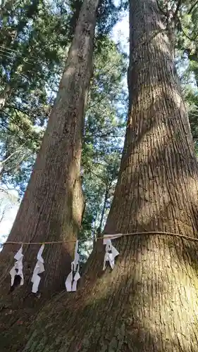 羽黒山神社の自然