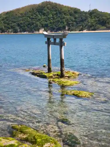 龍神社の{uncategorized: "未分類", other: "その他", undefined: "問題あり", building: "その他建物", grave: "お墓", sacred_gate: "鳥居", guardian: "狛犬", statue: "像", buddha: "仏像", history: "歴史", nature: "自然", garden: "庭園", animal: "動物", pagoda: "塔", temizu: "手水舎", mountain_gate: "山門・神門", sanctuary: "本殿・本堂", subordinate: "末社・摂社", art: "芸術", scenery: "景色", jizo: "地蔵", ema: "絵馬", goshuin: "御朱印", omikuji: "おみくじ", items: "授与品その他", amulet: "お守り", goshuincho: "御朱印帳", eats: "食事", festival: "お祭り", votive_dance: "神楽", shichigosan: "七五三参", wedding: "結婚式", experience: "体験その他", initially: "初詣", around: "周辺", anti_infection: "感染症対策"}