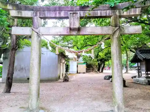 白山比売神社の鳥居