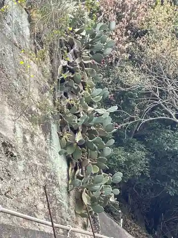 妙法寺(兵庫県)