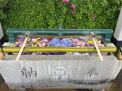 伊和志津神社の{uncategorized: "未分類", other: "その他", undefined: "問題あり", building: "その他建物", grave: "お墓", sacred_gate: "鳥居", guardian: "狛犬", statue: "像", buddha: "仏像", history: "歴史", nature: "自然", garden: "庭園", animal: "動物", pagoda: "塔", temizu: "手水舎", mountain_gate: "山門・神門", sanctuary: "本殿・本堂", subordinate: "末社・摂社", art: "芸術", scenery: "景色", jizo: "地蔵", ema: "絵馬", goshuin: "御朱印", omikuji: "おみくじ", items: "授与品その他", amulet: "お守り", goshuincho: "御朱印帳", eats: "食事", festival: "お祭り", votive_dance: "神楽", shichigosan: "七五三参", wedding: "結婚式", experience: "体験その他", initially: "初詣", around: "周辺", anti_infection: "感染症対策"}
