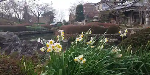 常楽寺の庭園