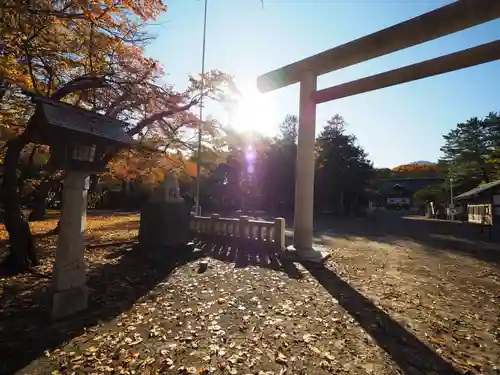 岩内神社の自然