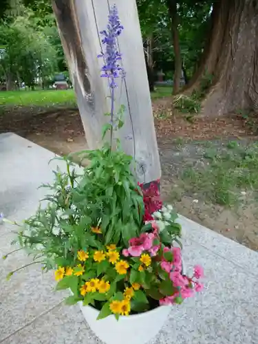 錦山天満宮の自然