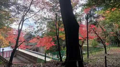 出雲大神宮(京都府)