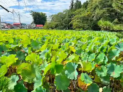 革秀寺(青森県)