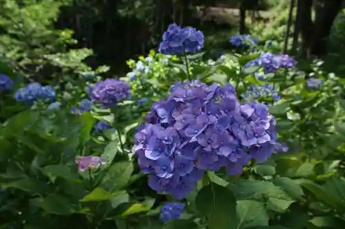 救馬溪観音の庭園