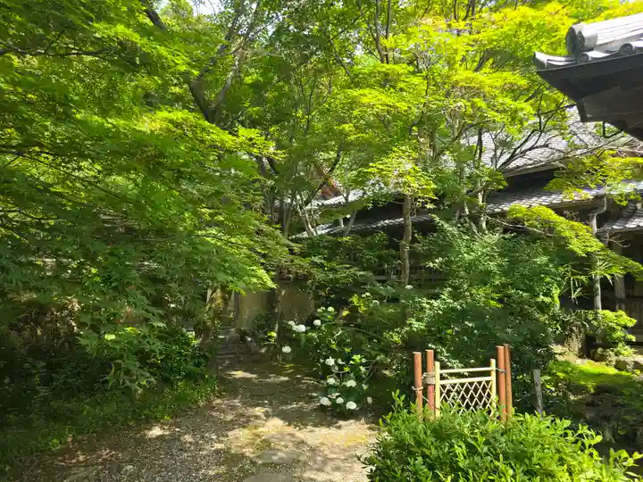 勝持寺(花の寺)(京都府)