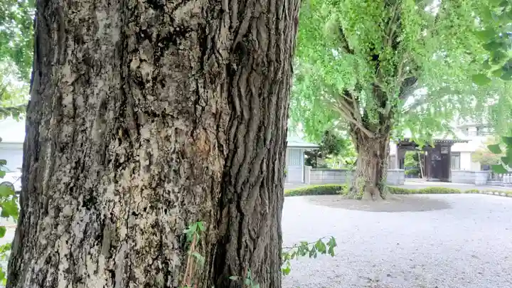 星谷寺(神奈川県)