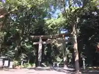 明治神宮の鳥居